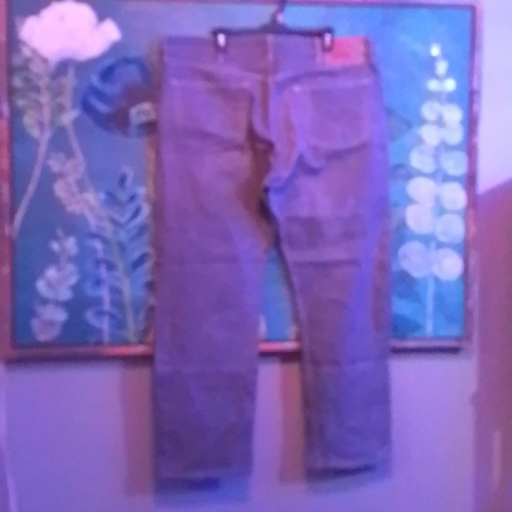 Levi's Men's Denim Jeans- Blue